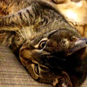 Meet your Posher, Alecia